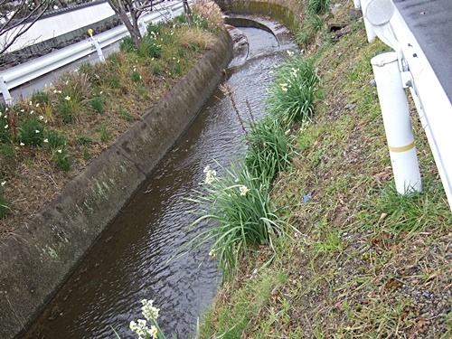 e0086885_14294628.jpg