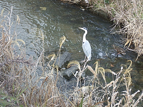 e0086885_14295997.jpg