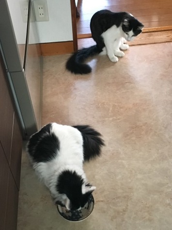 d0101787_21230159.jpeg