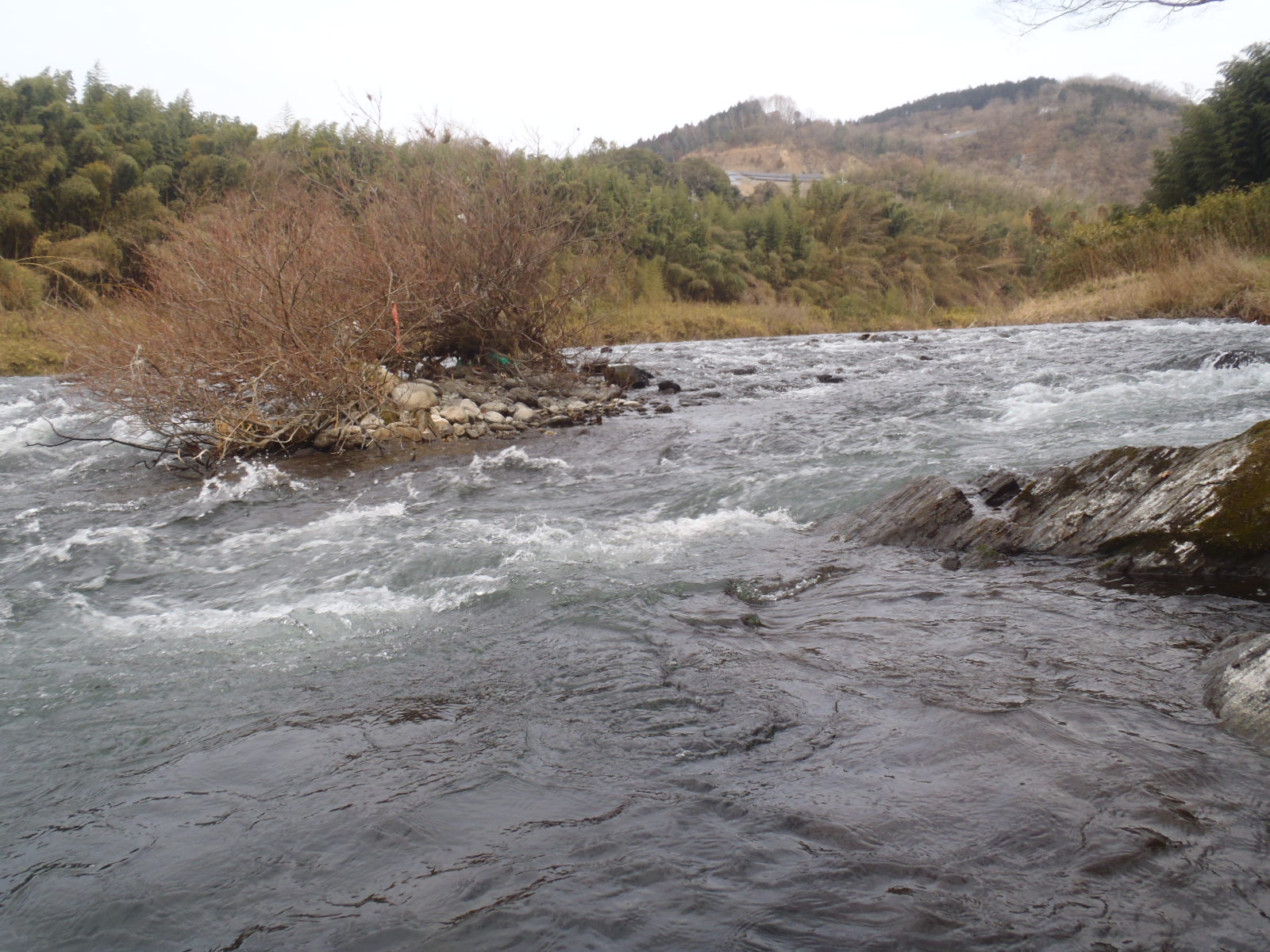 b0139489_20271724.jpg