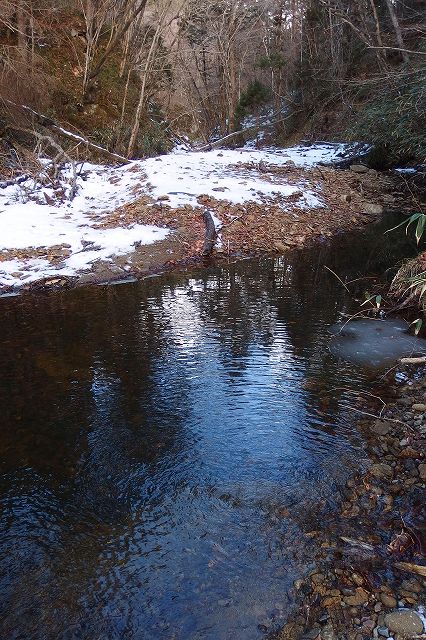 e0137200_19341173.jpg