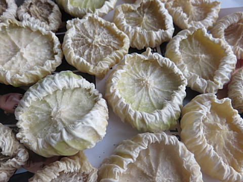 d0046702_07054806.jpg