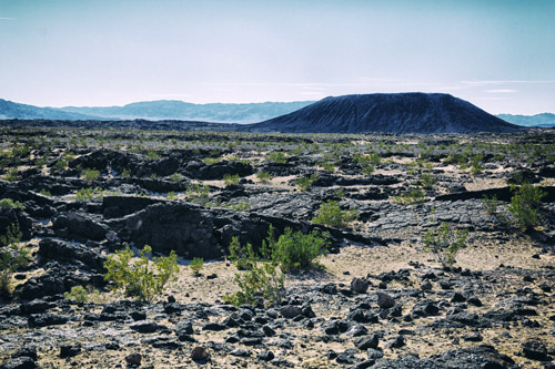 c0148812_916724.jpg