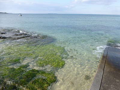 c0227720_21122954.jpg