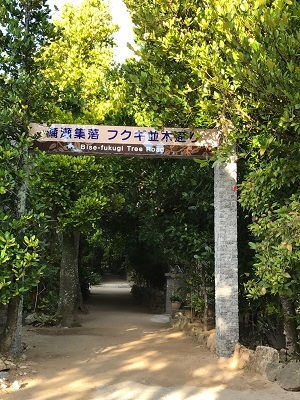 c0227720_21160572.jpg