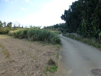 c0227720_21201681.jpg