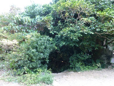c0227720_21213503.jpg