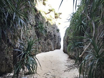 c0227720_21225163.jpg