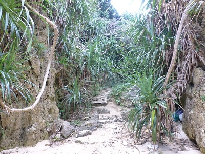 c0227720_21282398.jpg