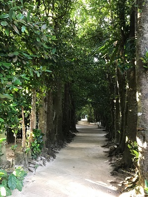 c0227720_21322537.jpg