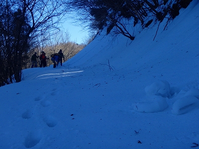 f0193521_3494975.jpg