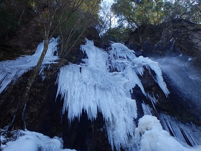 f0193521_3563783.jpg