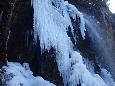 f0193521_357267.jpg
