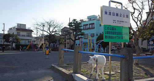 a0117039_22473470.jpg