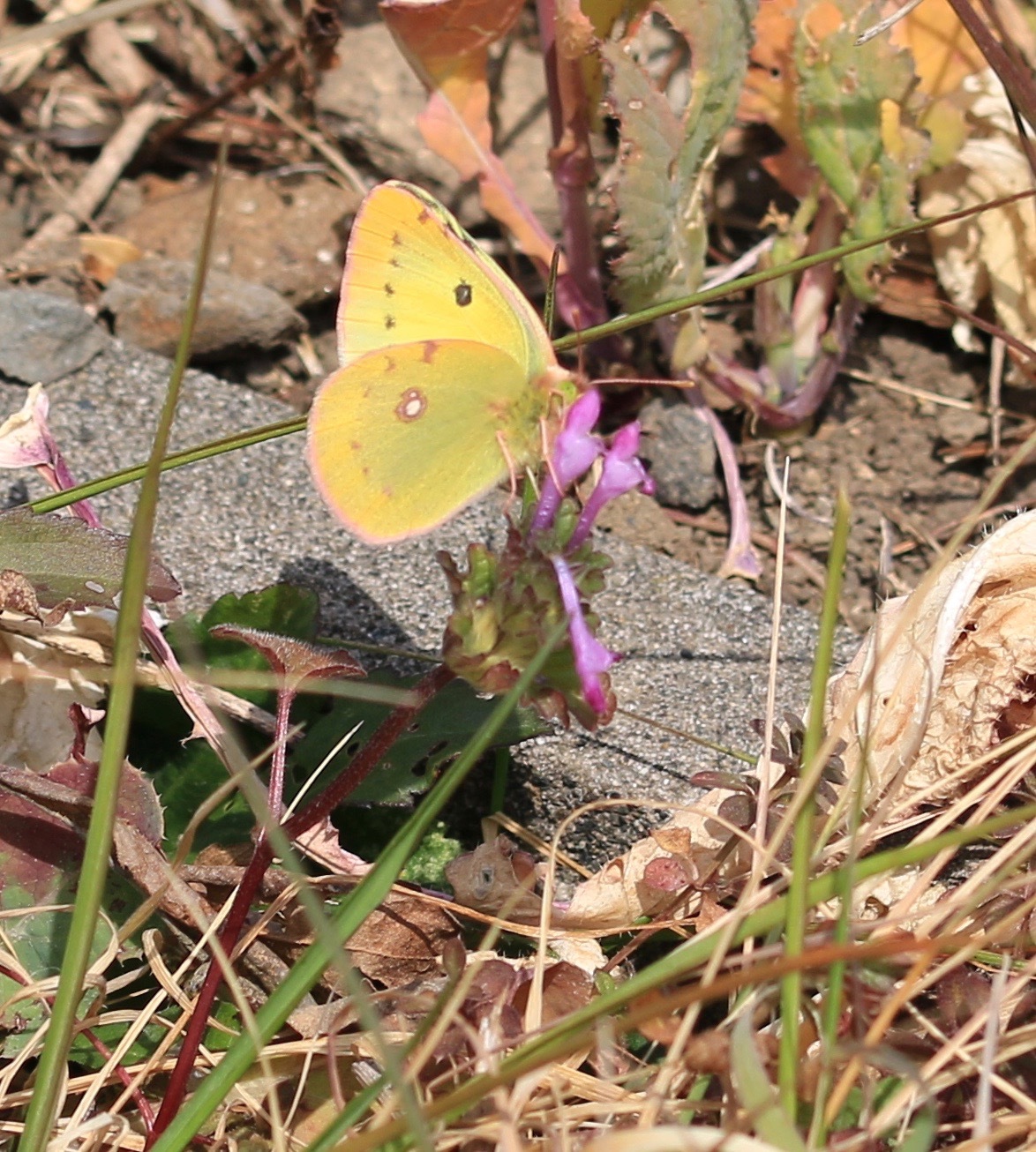 d0285540_07125583.jpg