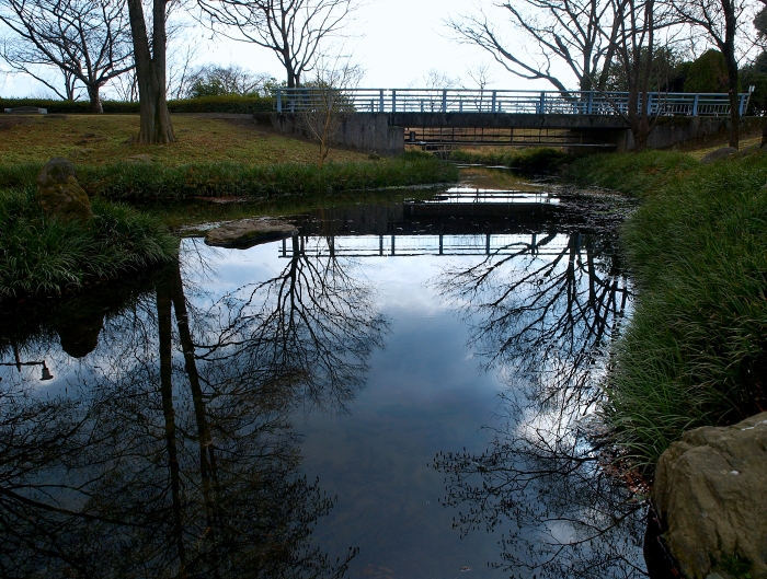 c0281841_1363514.jpg