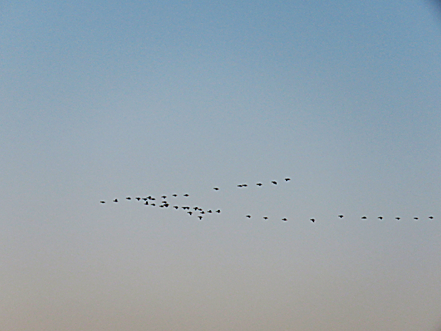 f0214649_20135461.jpg