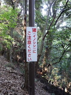 e0138350_11055363.jpg