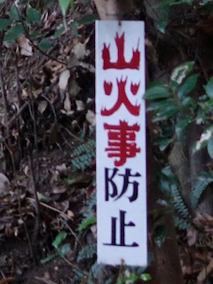 e0138350_11062589.jpg