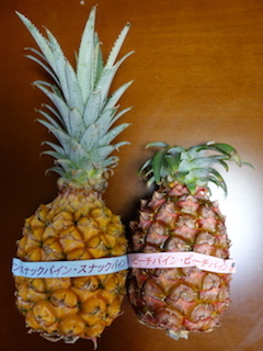 e0138350_11264217.jpg