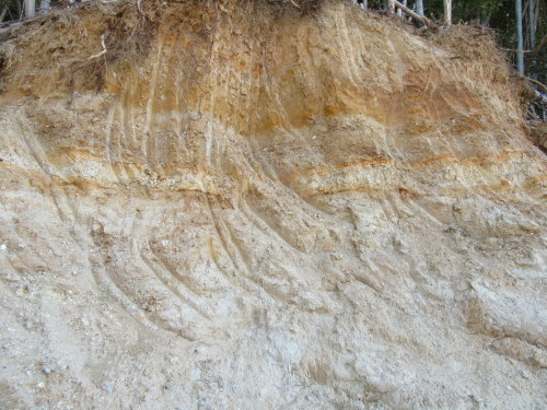e0364065_09084311.jpg