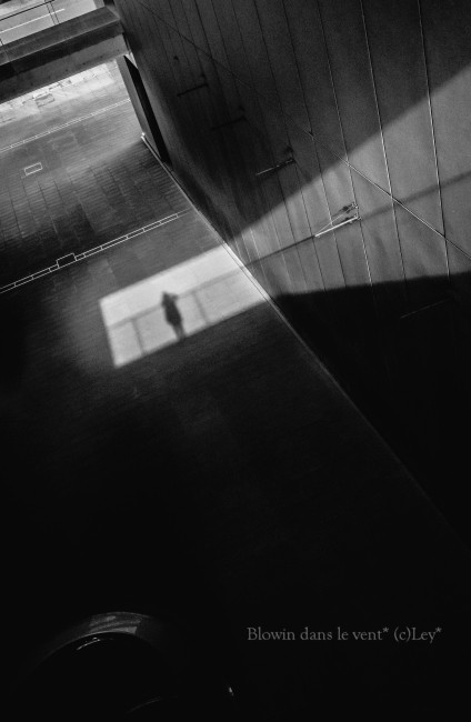 f0251765_1445282.jpg