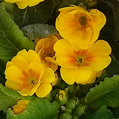 d0081485_15043493.jpg