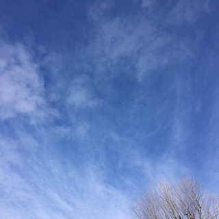 b0173390_15224570.jpg