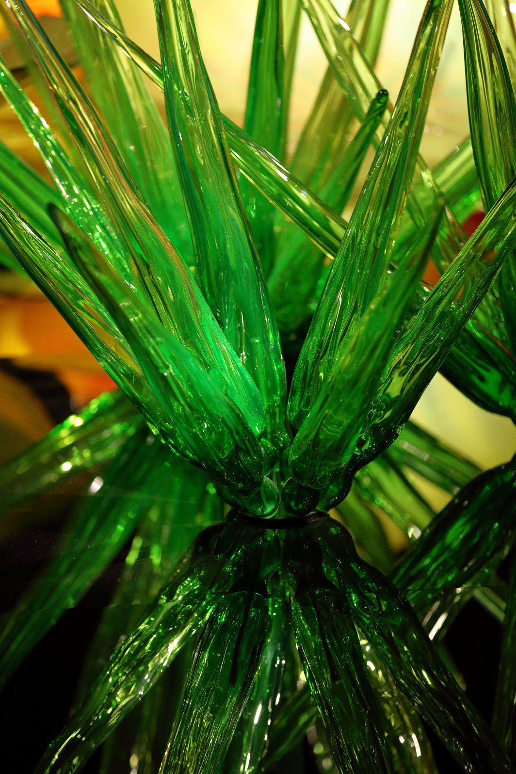 a0155104_22325660.jpg