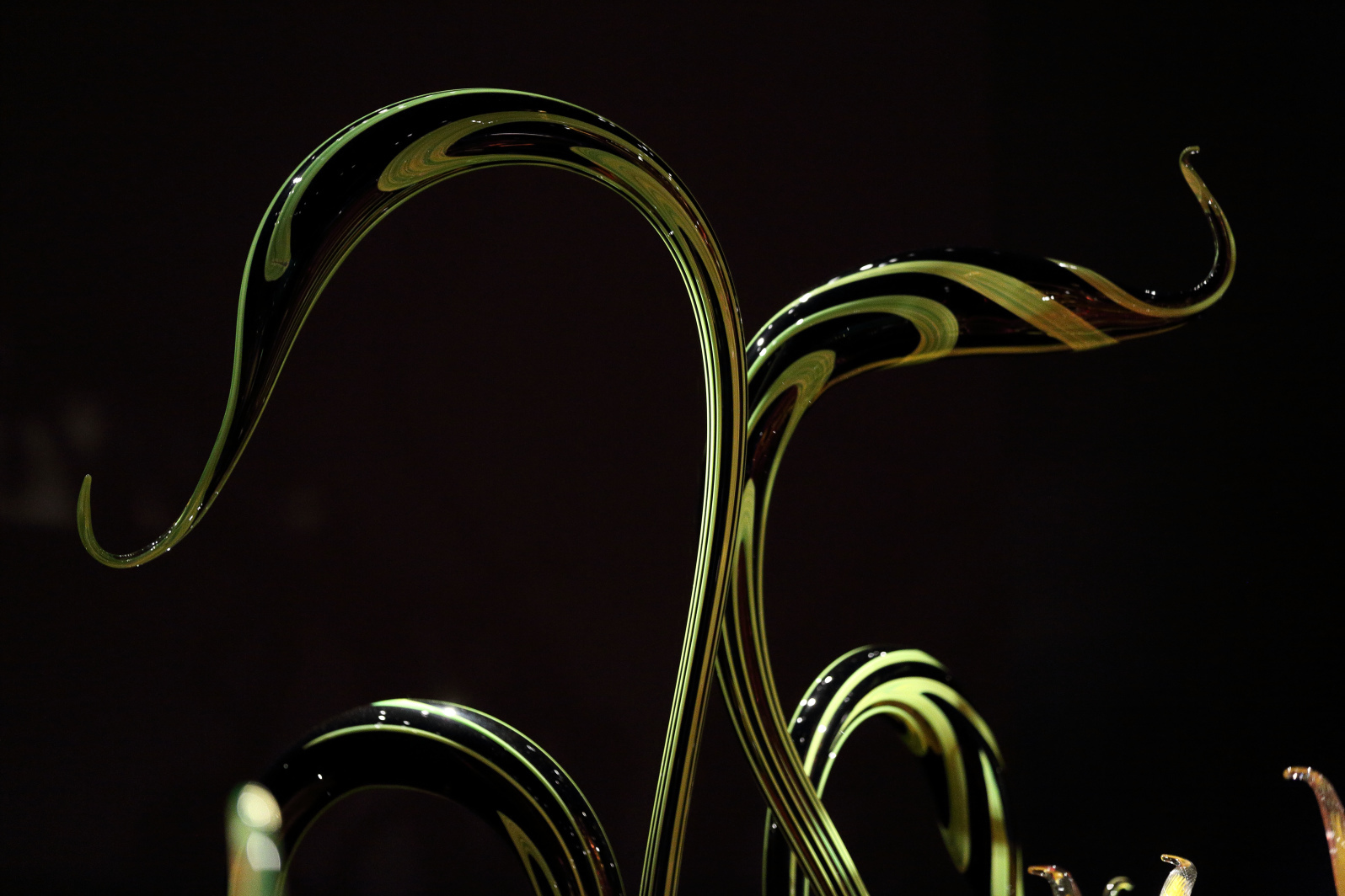 a0155104_22330703.jpg