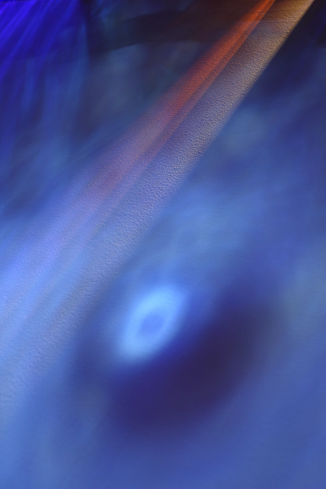 a0155104_22335039.jpg