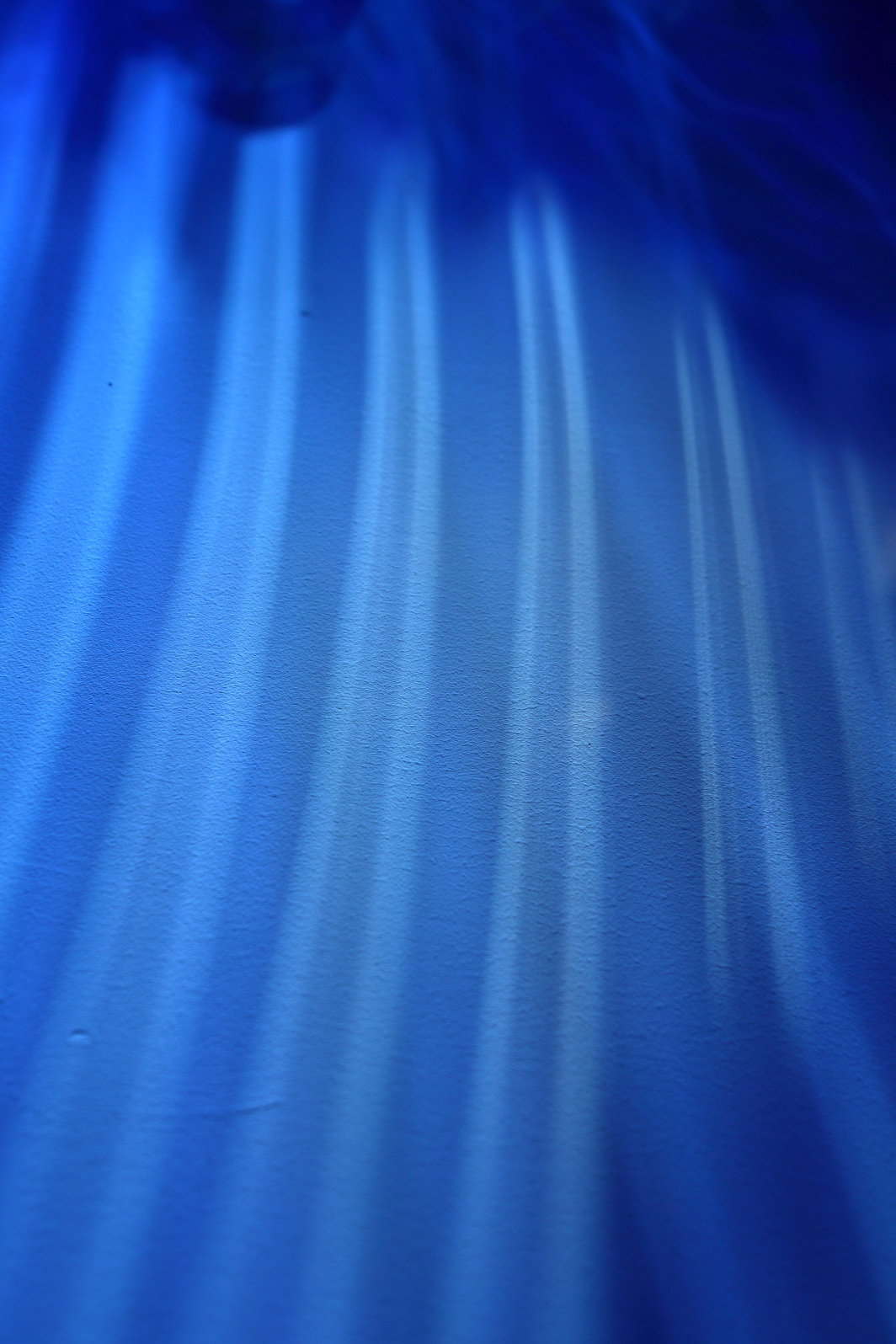 a0155104_22341358.jpg