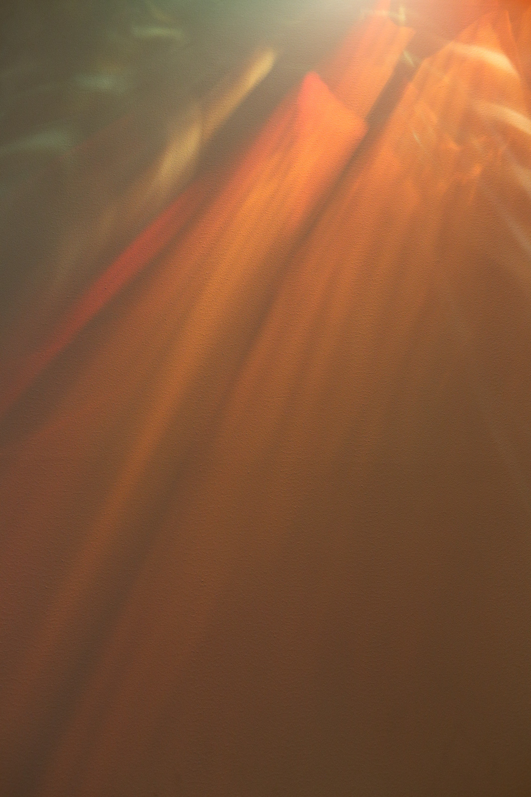 a0155104_22341784.jpg