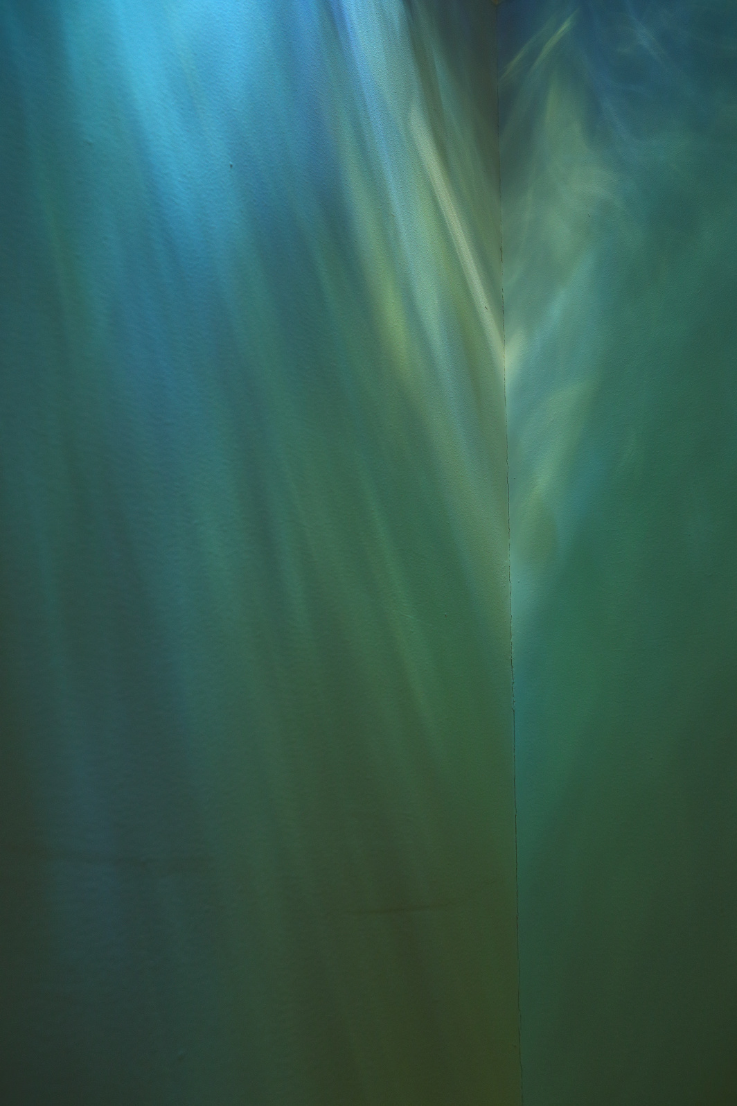 a0155104_22342124.jpg