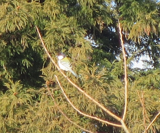 c0212604_14364197.jpg