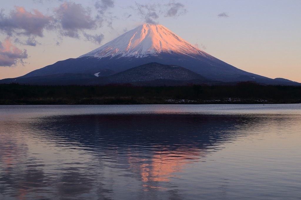 a0188405_20351759.jpg