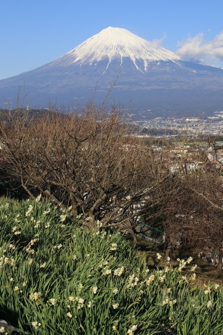 a0188405_22191280.jpg