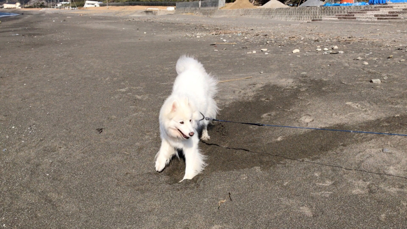 f0234023_09525868.jpg