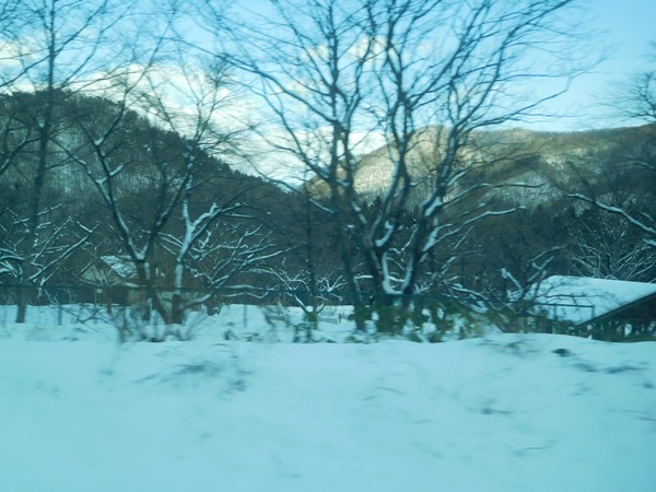 f0097528_17304898.jpg