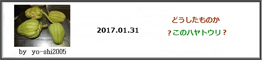 e0033229_1825262.jpg