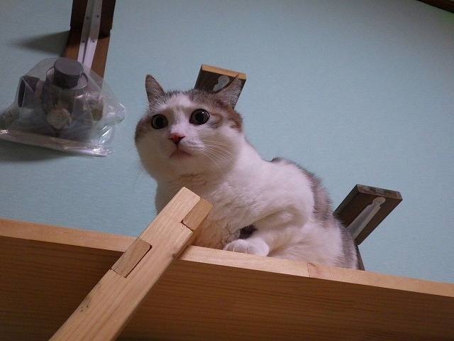 a0337237_13203405.jpg