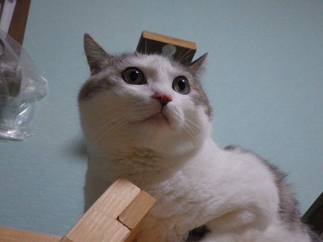 a0337237_13203438.jpg