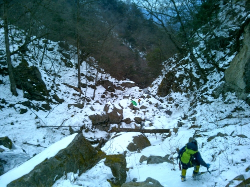 d0107938_1051778.jpg