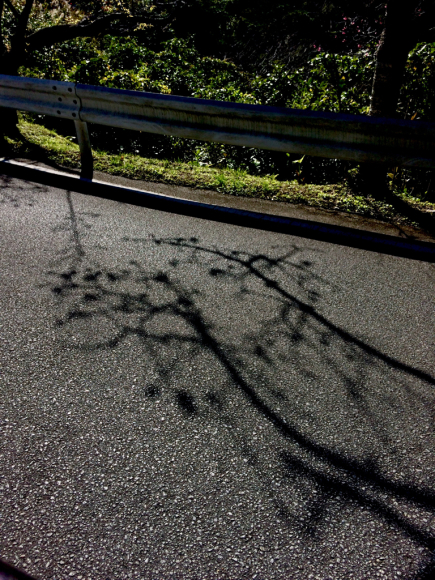 b0188941_11584683.jpg