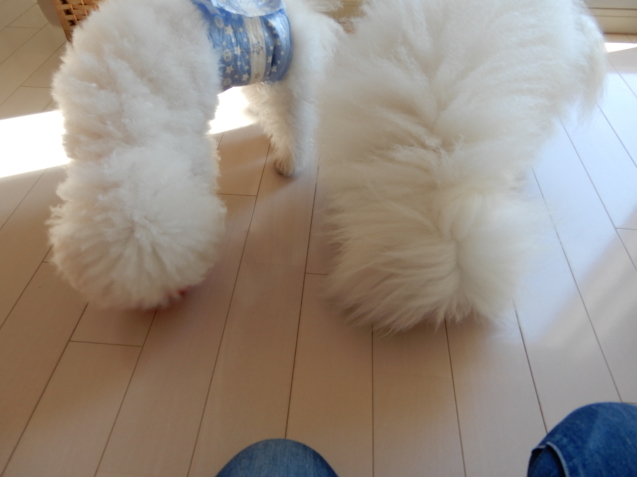 d0118050_11045314.jpg