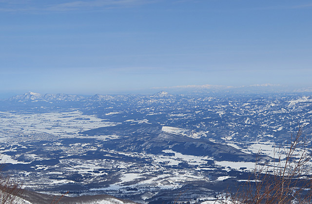 c0116856_20051506.jpg