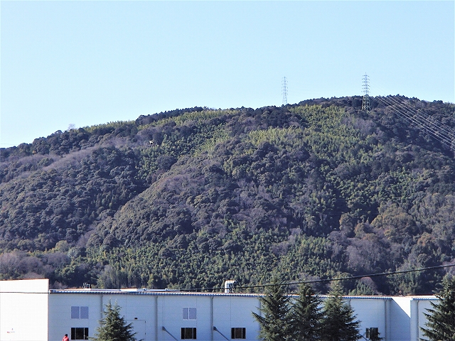 b0044663_1416491.jpg