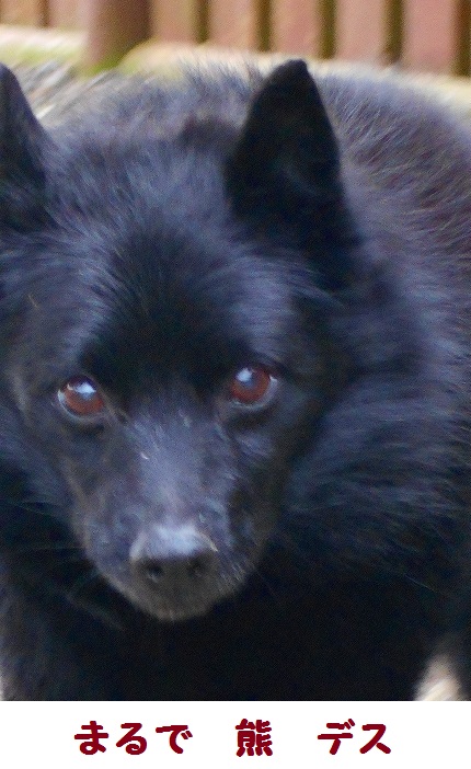 e0002466_20184518.jpg