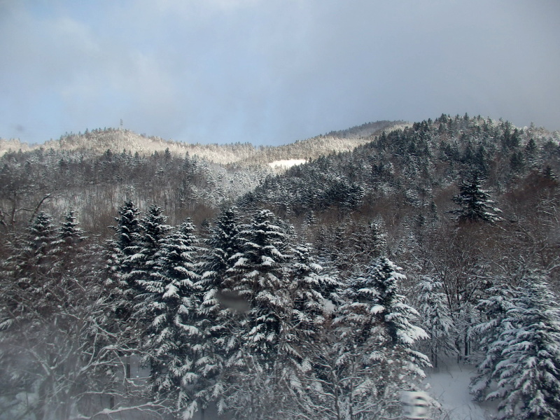 a0275468_234095.jpg