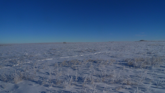 d0193569_982079.jpg